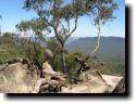 [Fossil Rock near Katoomba]