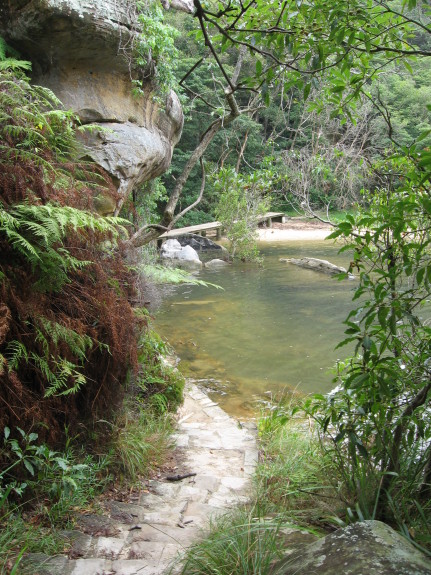 [img_1235.jpg]