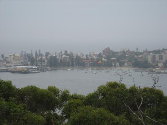[img_1340.jpg]