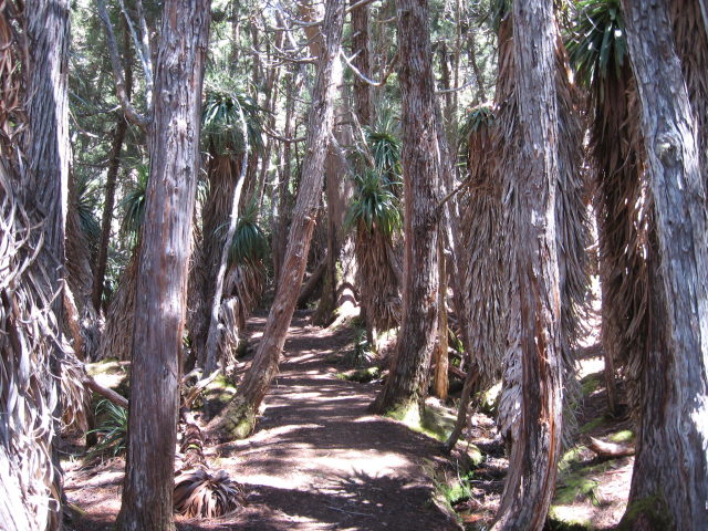 [img_7923.jpg]