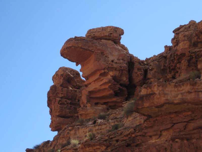 [Gargoyle head overlooks C ...]