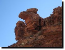 [ Gargoyle head overlooks C ... ]