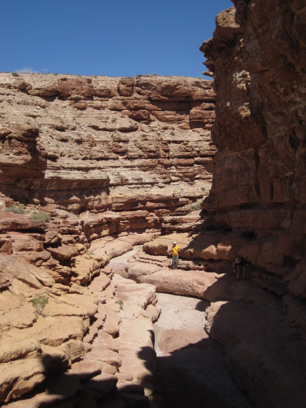 [Dave for scale.]
