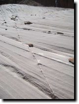 [ vein in the sandstone ]