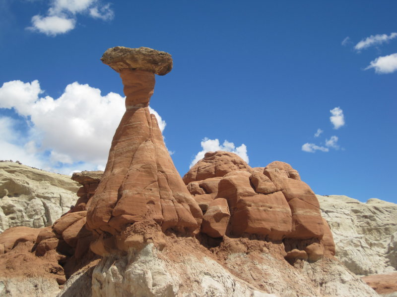 [The famous Red Toadstool. ...]