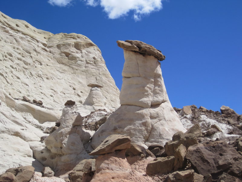 [White toadstools on top o ...]