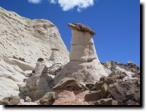 [ White toadstools on top o ... ]