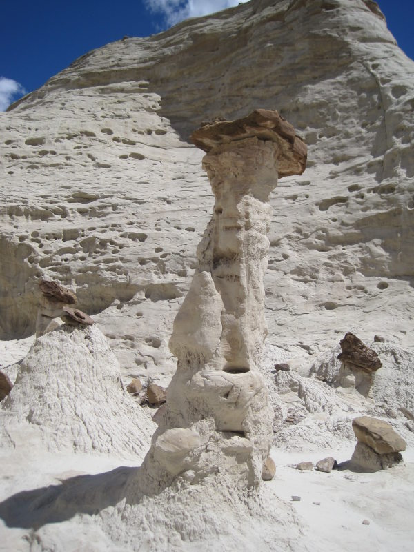 [white toadstools]