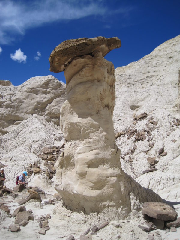 [white toadstools]