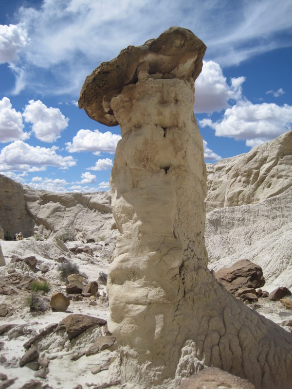 [white toadstools]