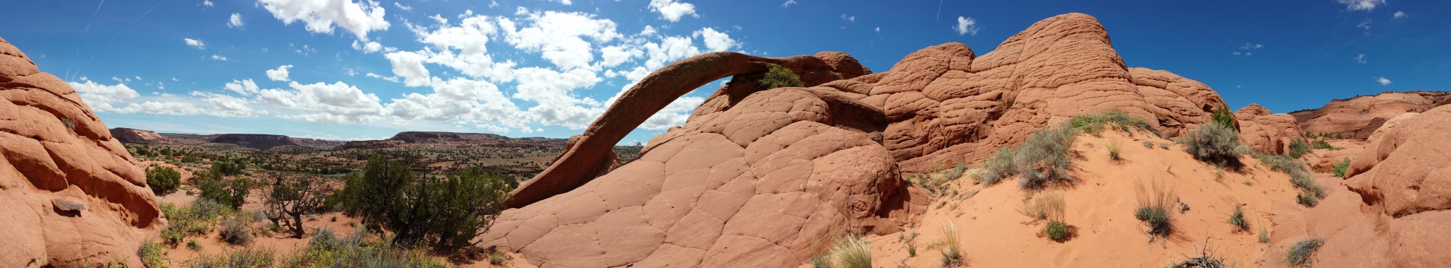 [Panorama of Cobra Arch]