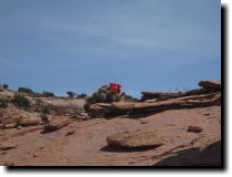 [ Claret Cup cactus was blo ... ]