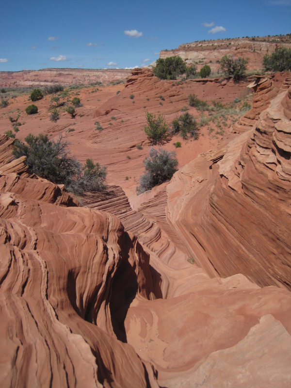 [Down through a narrow slo ...]