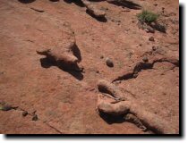 [ More mystery formations. ]