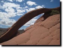 [ Cobra Arch ]