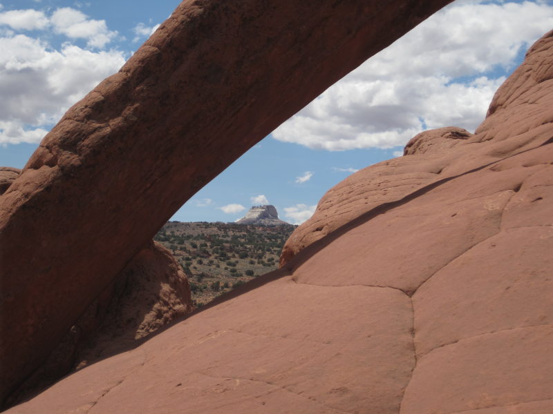 [Cobra Arch, White Pocket]