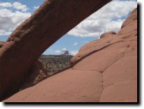 [ Cobra Arch, White Pocket ]