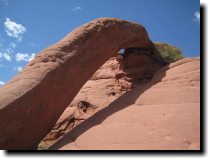 [ Cobra Arch ]