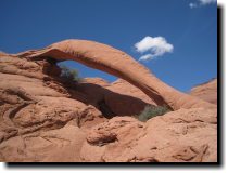 [ Cobra Arch ]