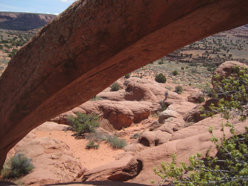 [Chuck framed by Cobra Arch]