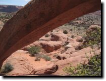 [ Chuck framed by Cobra Arch ]