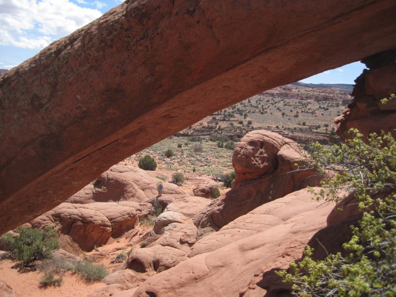 [Cobra Arch]