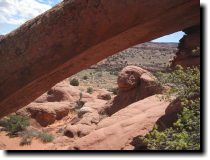 [ Cobra Arch ]