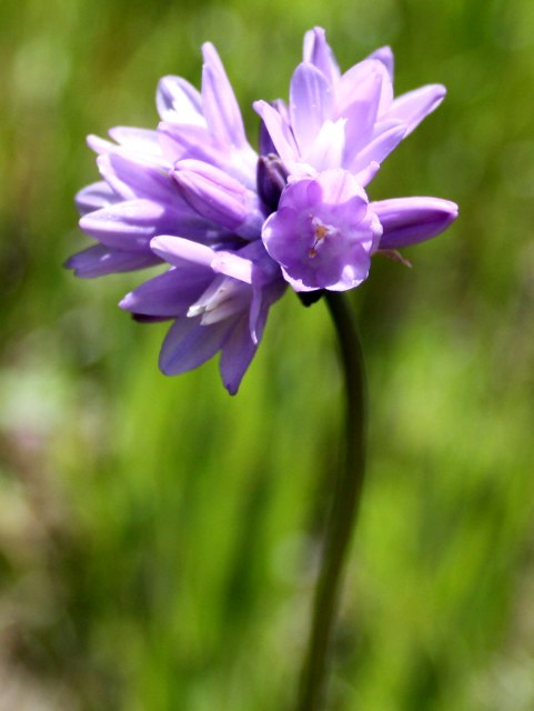 [img_2625.jpg]