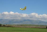 [Tiger Moth at Baylands]