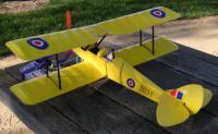 [GWS tiger moth]