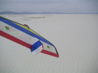 [Weasel at White Sands]